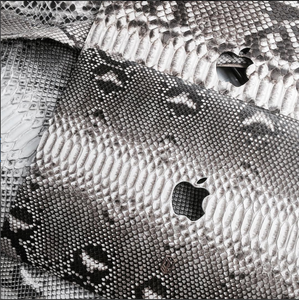 Python Macbook Case