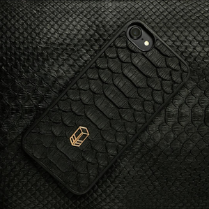 Python iPhone Case