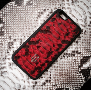 Python iPhone Case